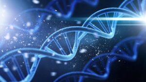 Is Gynecomastia Genetic? Banner